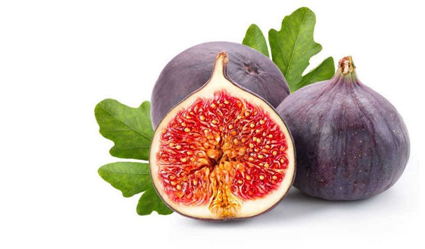 Aydın inciri için bilimsel seferberlik