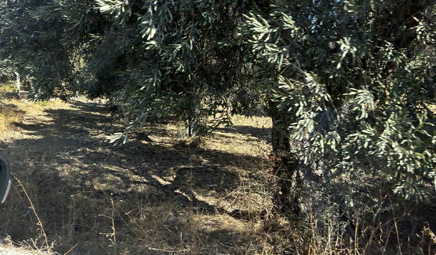 Aydın’da 5 kişi basıldı.. Yakalandıkları yer pes dedirtti!