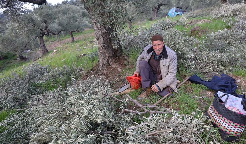 Aydın’da 78 yıldır tek ayağı ile dağ, bayır çalışıyor
