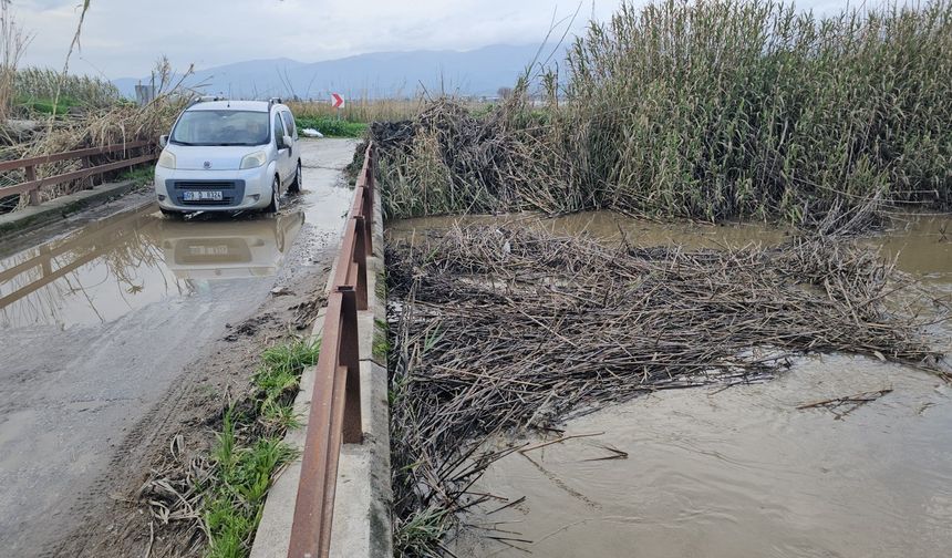 Aydın’da kurutma kanalı taştı, tarım arazilerini su bastı