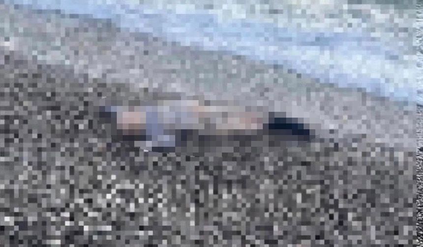 Deniz kıyısında çocuk cesedi bulundu