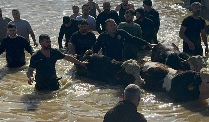 Gediz Nehri taştı, vatandaşlar mahsur kaldı