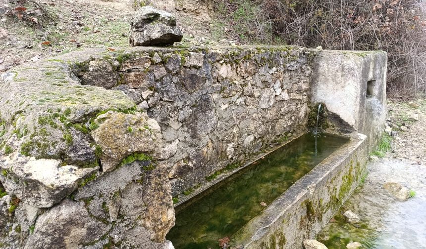 Kuruyan çeşmeler yeniden hayat buldu
