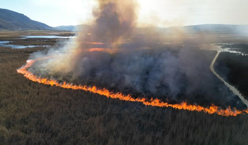 1 hektarlık alan küle döndü