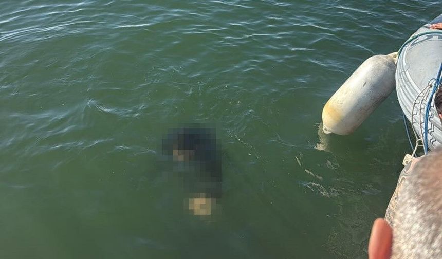 Akülü tekerlekli sandalyesiyle denize düştü, hayatını kaybetti