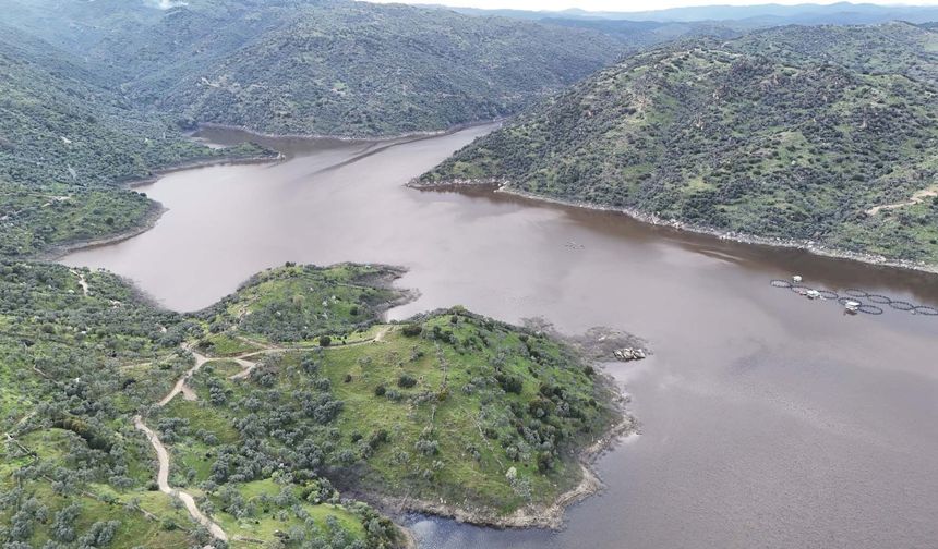 Aydın’a bereket yağdı, barajların durumu açıklandı