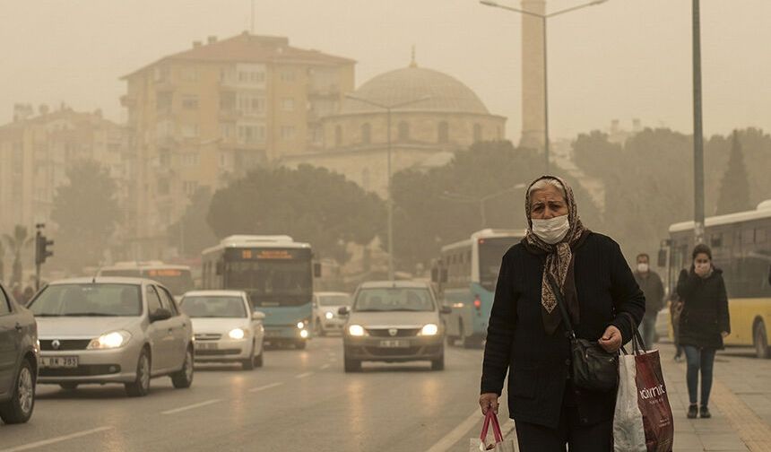 Aydın’a zehir çöktü