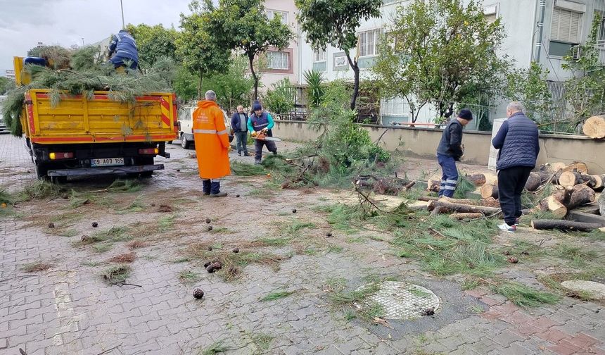 Aydın’da faciadan dönüldü