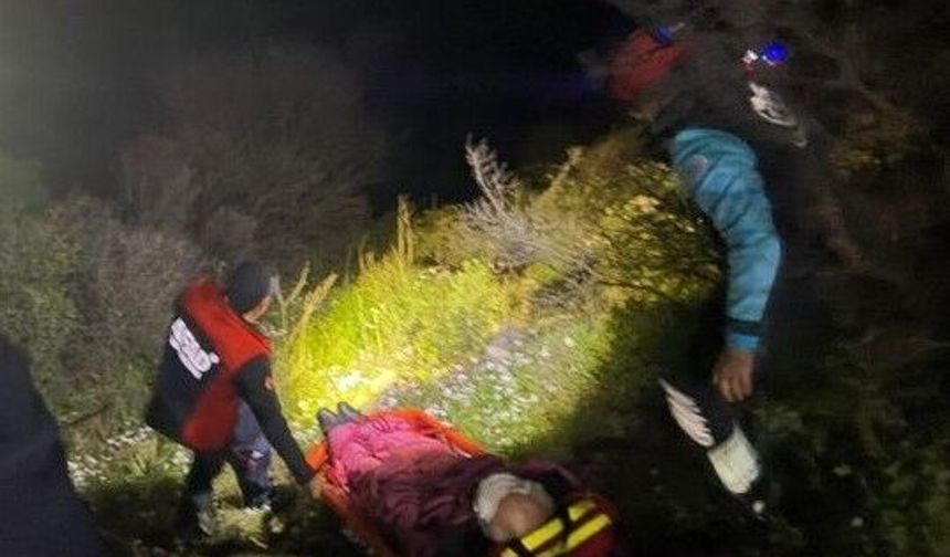 Aydın’da termal kameralı dronla sarp arazide bulundu