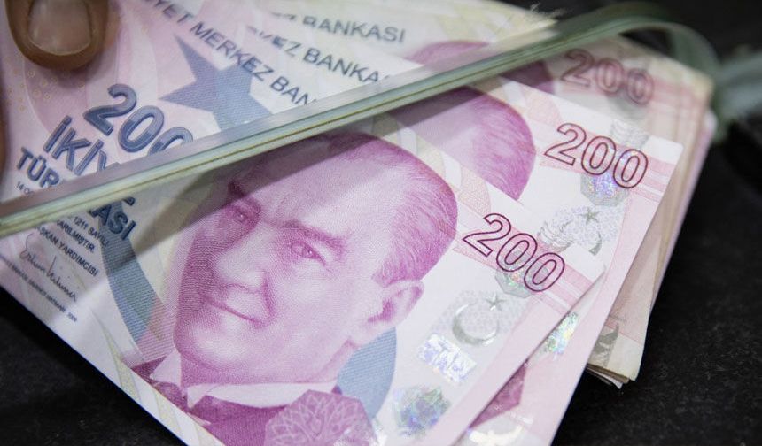 Çine’de zeytinlik ve besi damı icradan satışa çıkarıldı