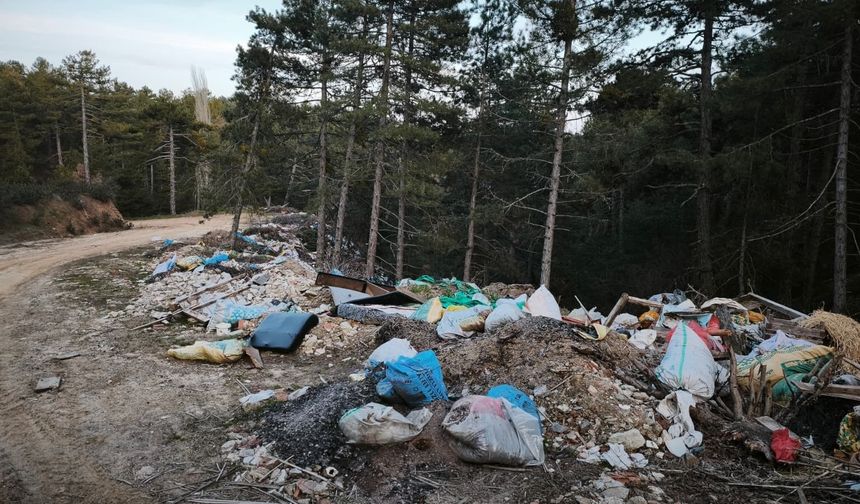 Doğanın kalbine çöp doldurdular
