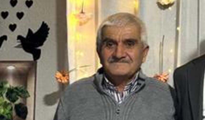 Ormanda burçak toplarken vuruldu: 1 kişi tutuklandı