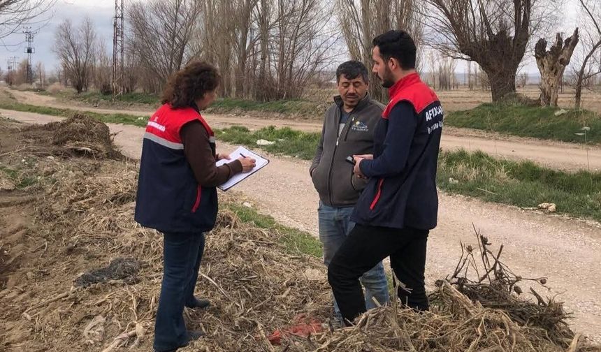 Patates ekimi başladı