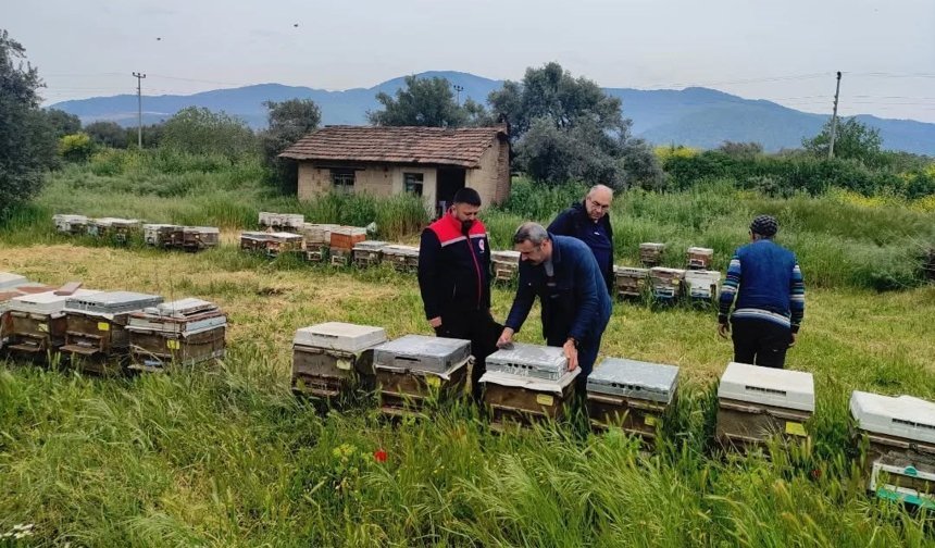 Aydın’da ekipler arı kovanlarını denetledi