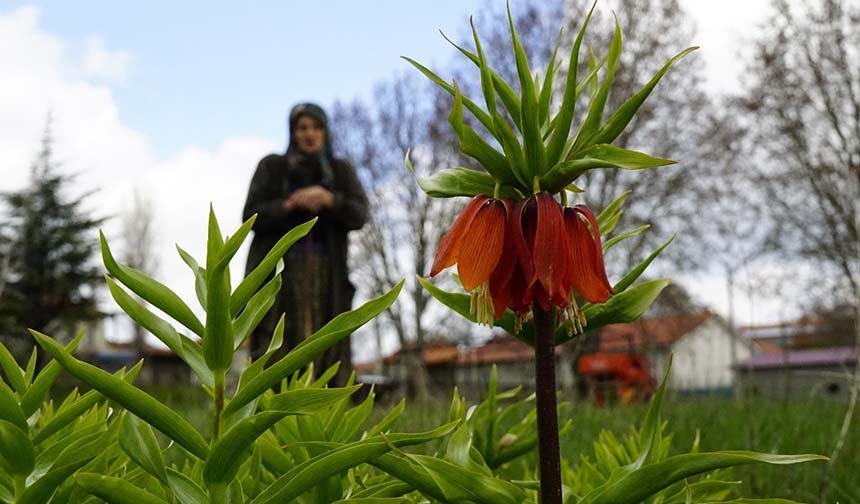 Ağlayan gelinler 5 yıl sonra baharı karşıladı