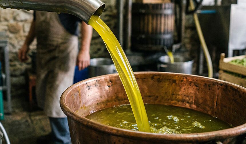 Aydın dikkat.. Zeytinyağında büyük skandal