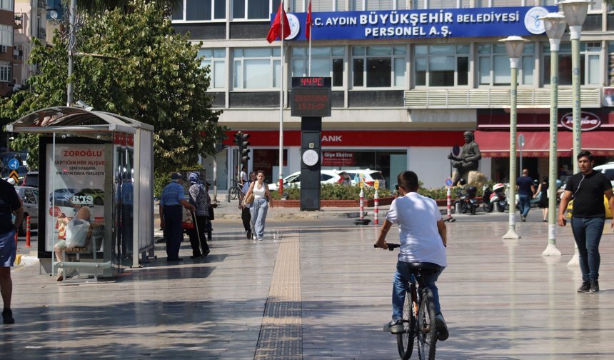 Aydın’a yeni yabancılar geldi