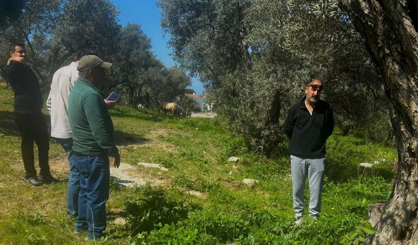 Aydın’da Endemik Tülüşah için inceleme