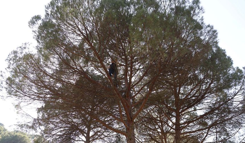 Aydın’da günlük 3 bin 500 liraya çalışıyorlar