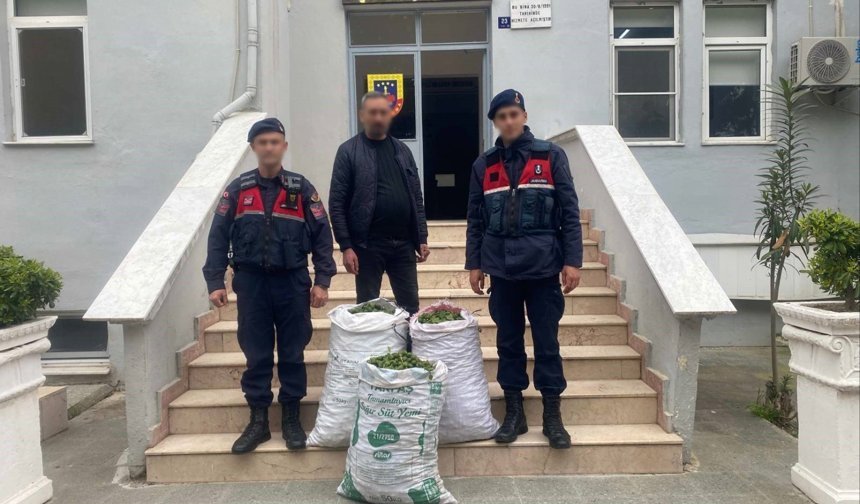 Aydın’da incir bahçesinde suçüstü basıldı