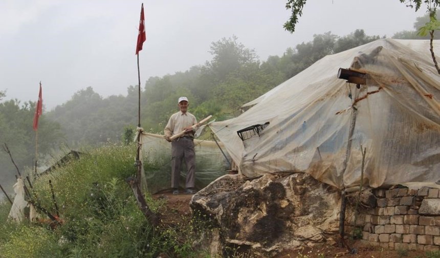 Aydın’da insanlara güvenini kaybedince dağlarda yaşamaya başladı