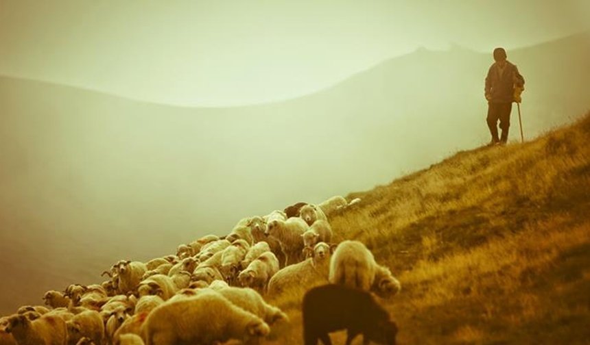 Aydın’da kurs başlıyor