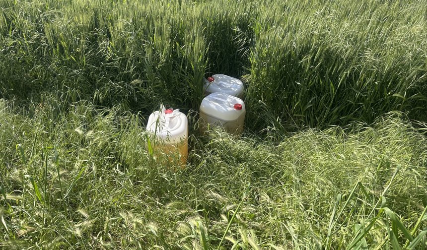 Aydın’da nehir kenarında basıldılar