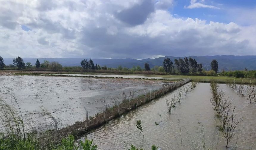 Aydın’da tarım arazileri sular altında kaldı
