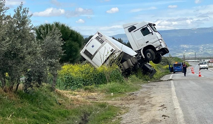 Bağa giren tır şaha kalktı