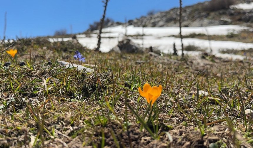 Bahar ve kış mevsimi aynı anda görüntülendi, ortaya eşsiz manzara çıktı