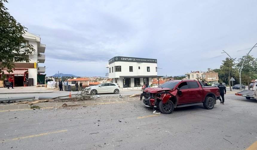 Direksiyon hakimiyetini kaybetti, 2 ağaç ve elektrik direğini yerinden söktü