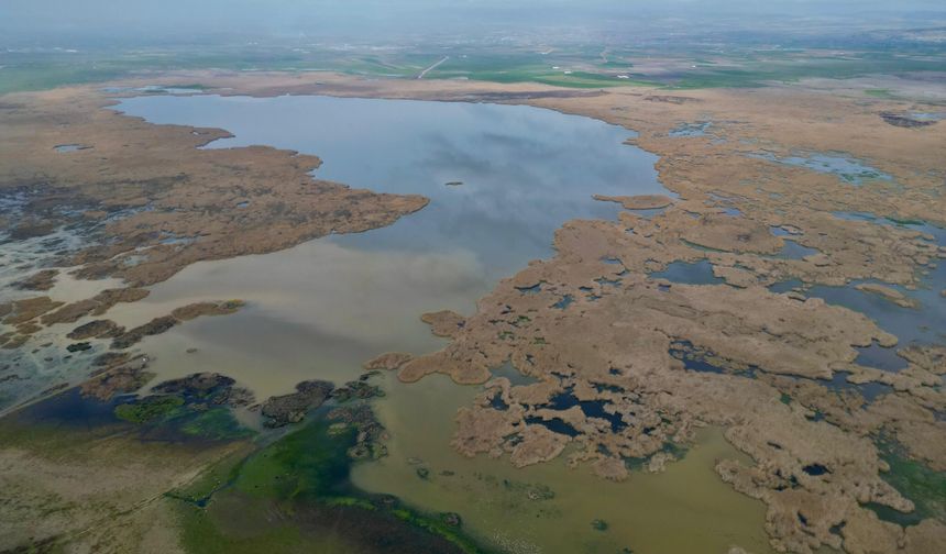 Eber Gölü'nden iyi haber geldi