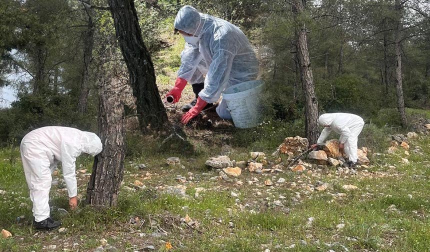 Ekipler çalışma başlattı