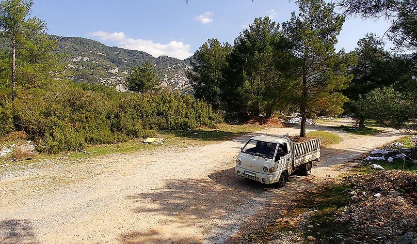 Fotokapana yakalandılar