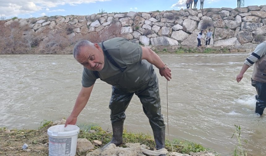 Gören inanamıyor! Yıllardır kurak olan çayda şaşırtan manzara