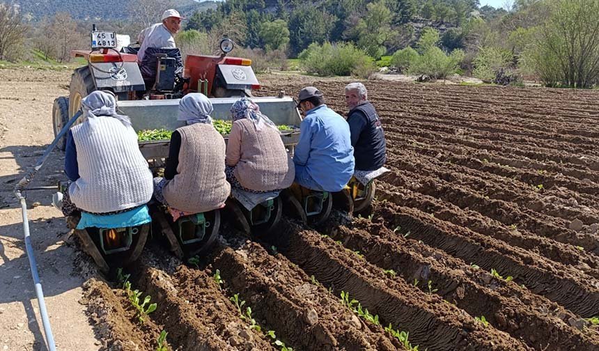 Günlük 1400 liraya çalışacaklar