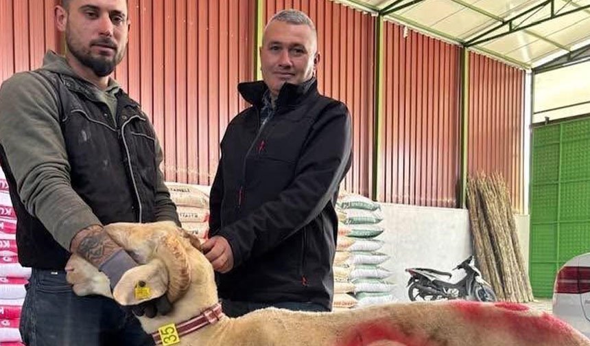 Kurbanlık pazarı hareketlendi