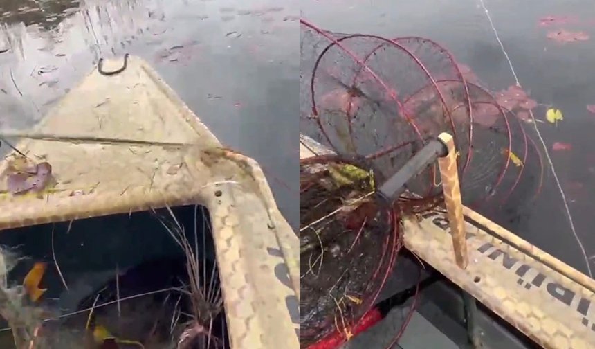 Nilüfer Cenneti’nde kaçak avcılığa dur denildi