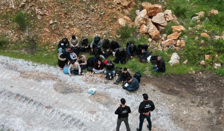 Ormanlık alanda yakalandılar