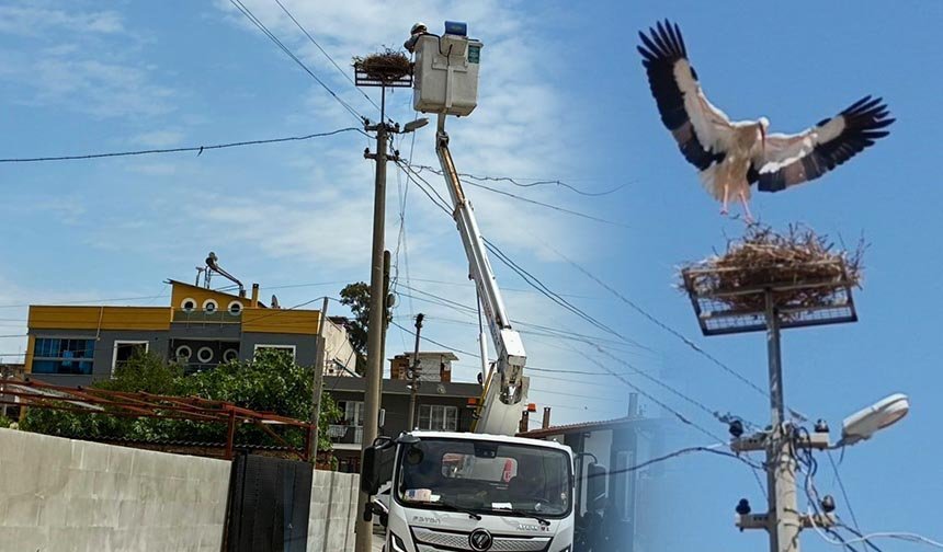 Söke’de leyleklere yeni yuva