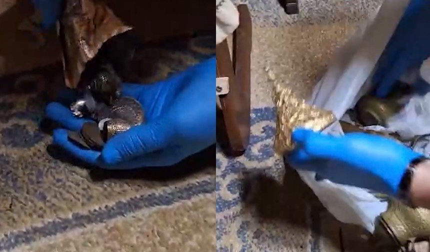 Tarihi eser operasyonunda 203 eser ele geçirildi