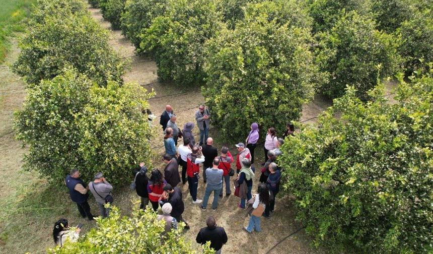 Tarımda yeni dönem başlıyor