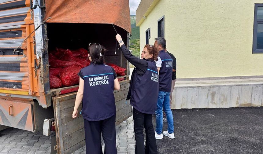 7 ton kaçak midye ele geçirildi