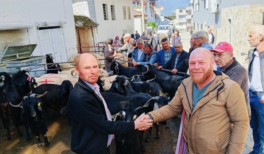 Bozdoğan Yazıkent’te Kurban Pazarı hareketlendi