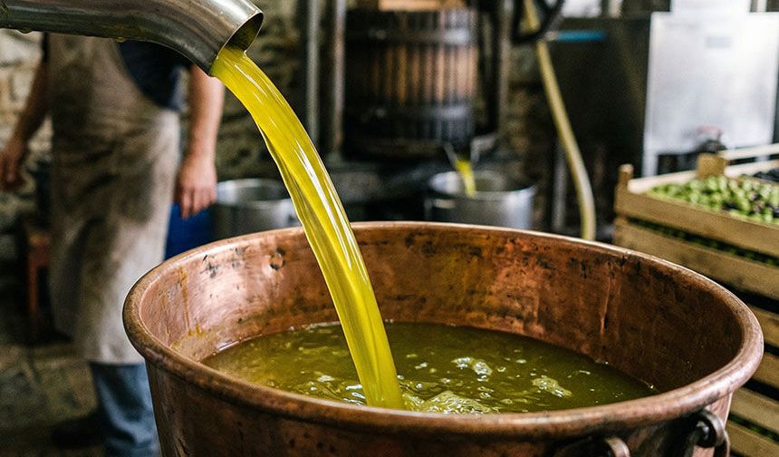 Aydın’da 6 bin litre sahte zeytinyağı yakalandı