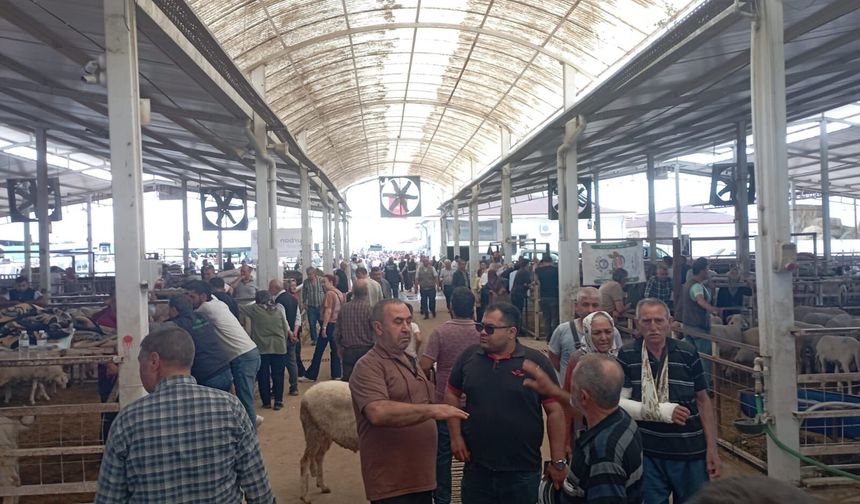 Aydın’da kurban pazarlarında satış yok