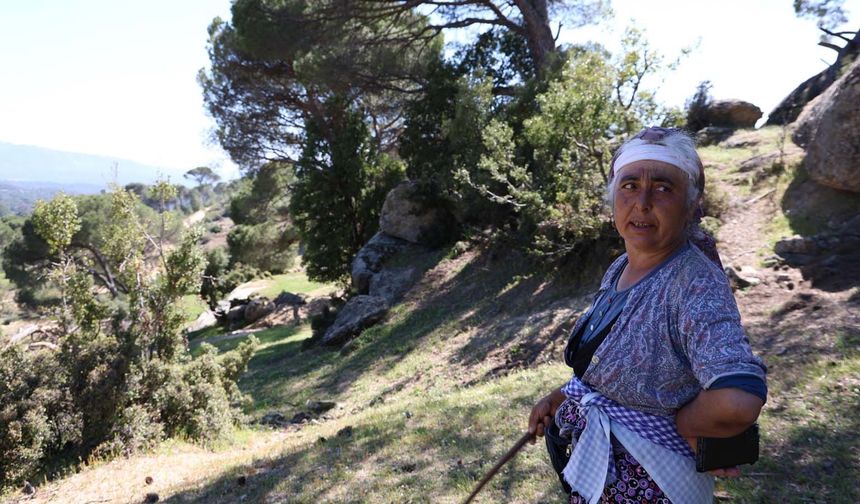 Aydınlı Rukiye bacı dağları terk etmiyor