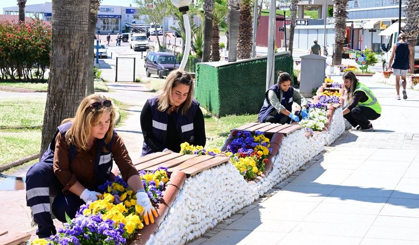 Başkan Çerçioğlu Altınkum’u rengarenk çiçekler ile süslüyor