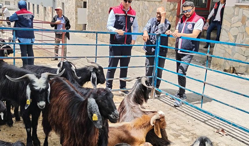 Bozdoğan'da kurban satış yerleri denetlendi