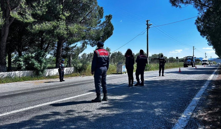 Didim’de kurbanlık denetimi